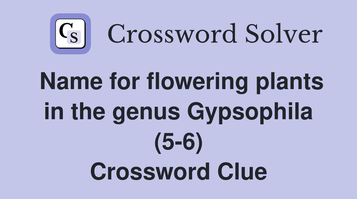 Name for flowering plants in the genus Gypsophila (56) Crossword
